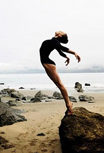 Graceful Dancer Graceful Dancer